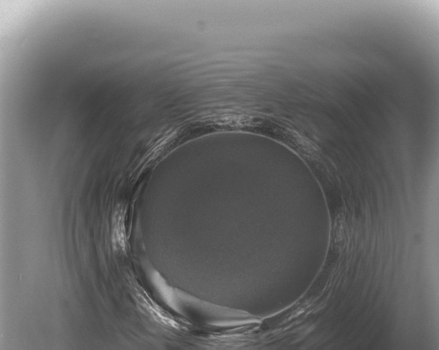 X0000080761202200612221401