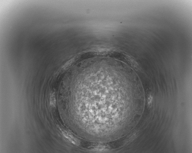 X0000080761204200612221401