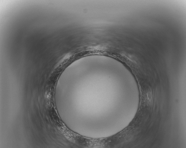 X0000080761254200612221401