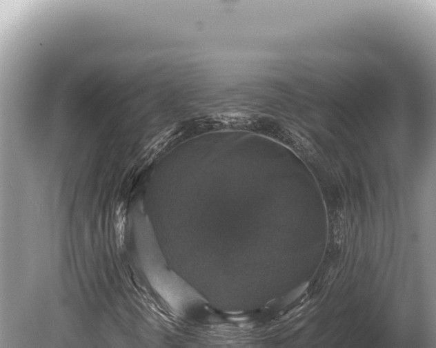 X0000080761298200612221400