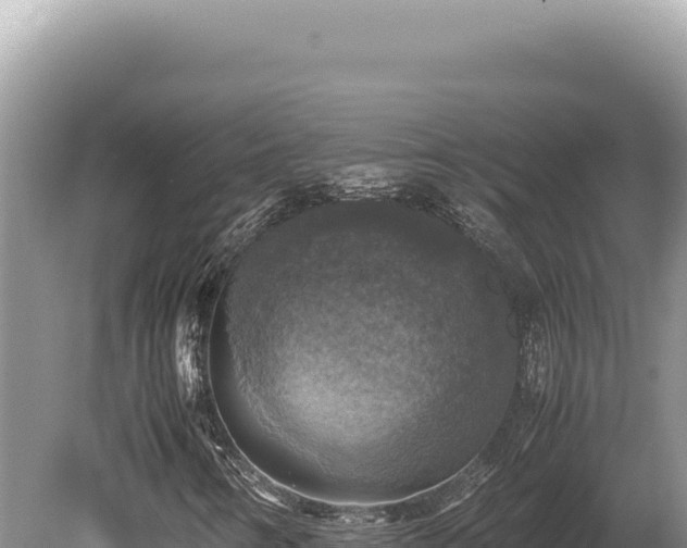 X0000080761346200612221400