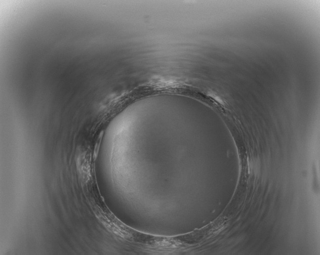 X0000080761348200612221400