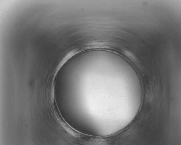 X0000080761370200612221359
