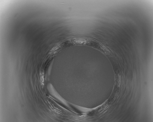 X0000080761394200612221358