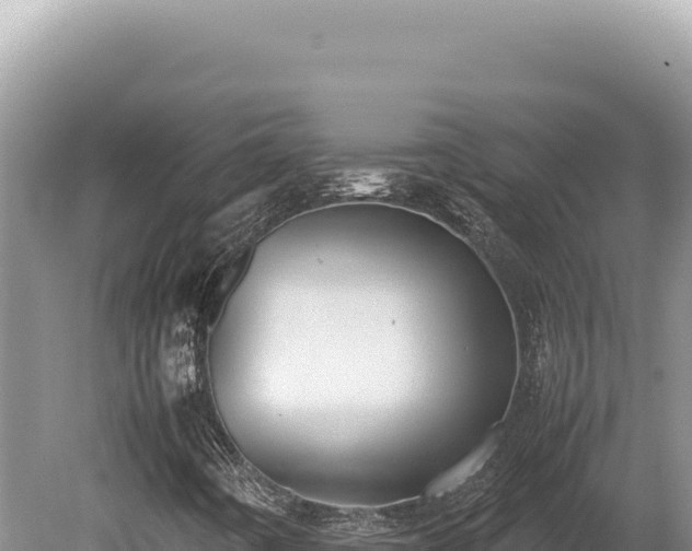 X0000080761442200612221358