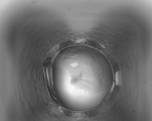 X0000080761443200612221358