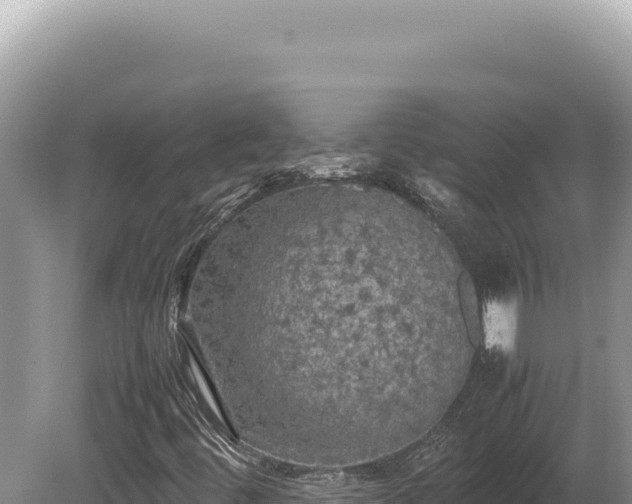 X0000080761444200612221358