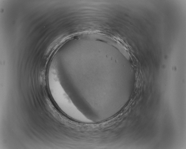 X0000080760002200701021108
