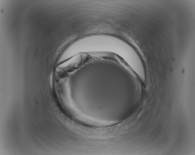 X0000080760019200701021107