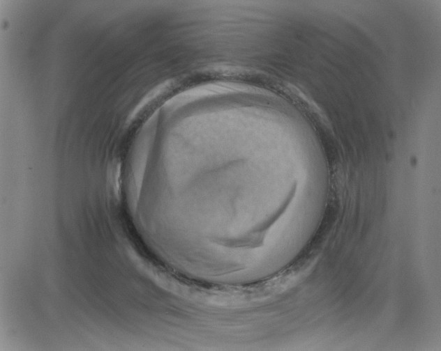 X0000080760024200701021107