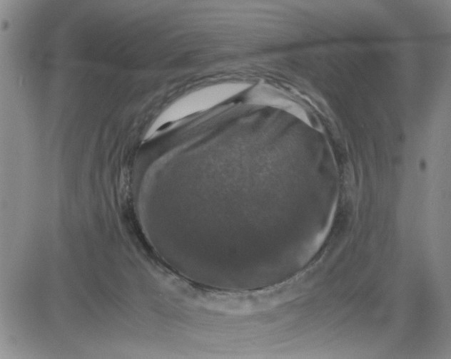 X0000080760029200701021107