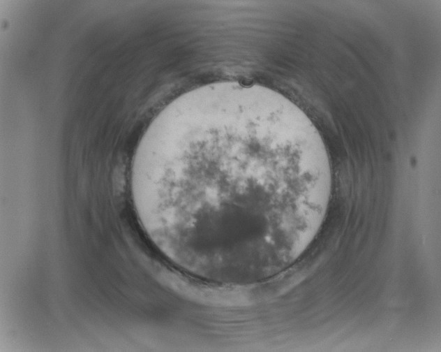 X0000080760032200701021107