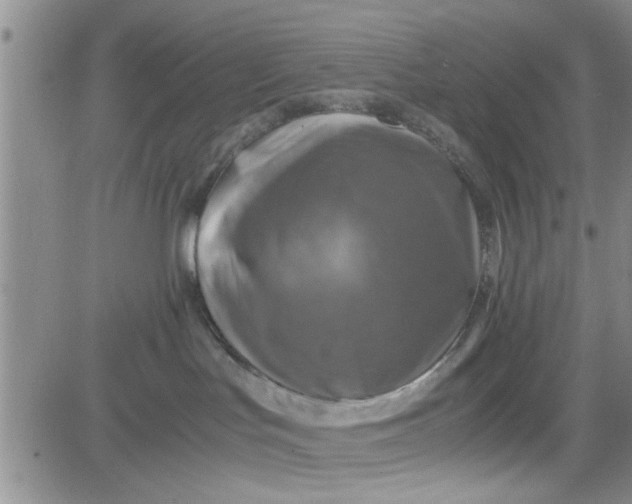 X0000080760047200701021107