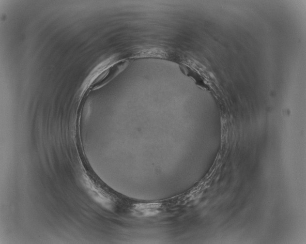 X0000080760051200701021106