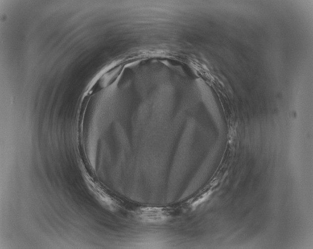 X0000080760052200701021106