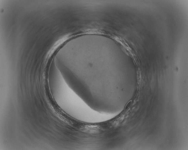 X0000080760055200701021106