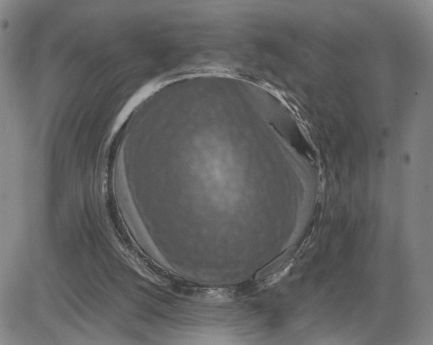X0000080760056200701021106