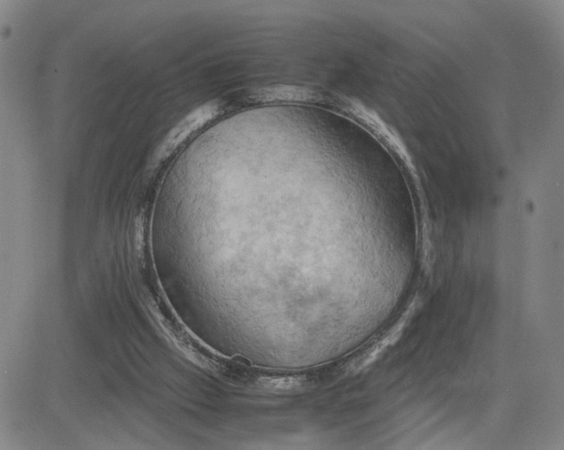 X0000080760057200701021106