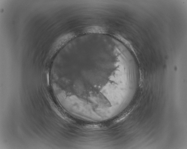 X0000080760061200701021106