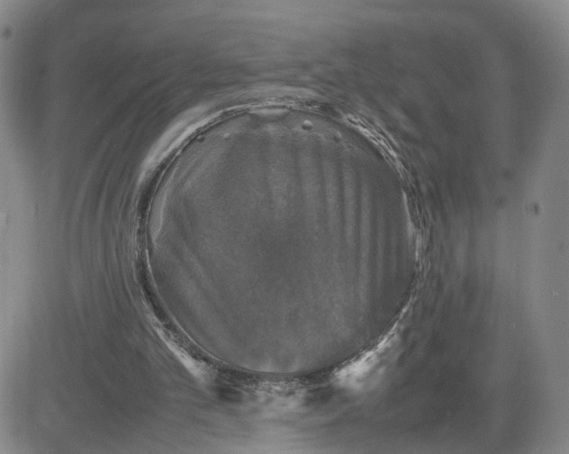 X0000080760101200701021106