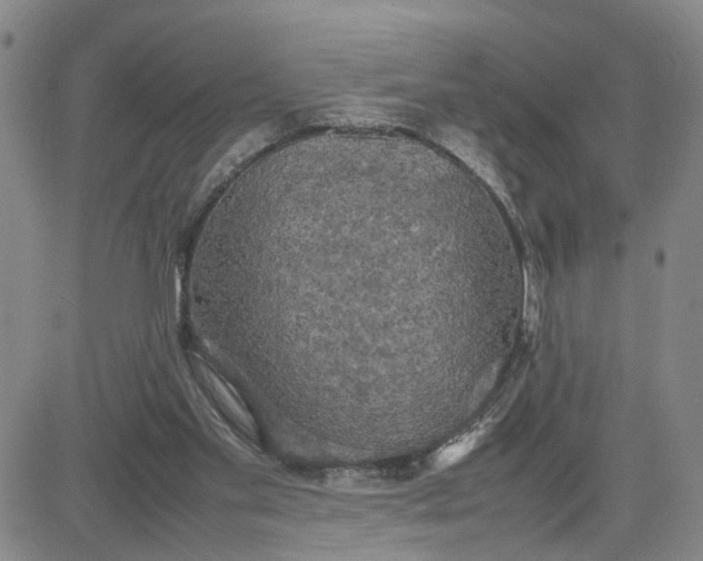 X0000080760109200701021106