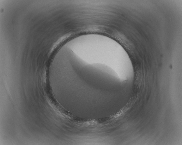 X0000080760112200701021106