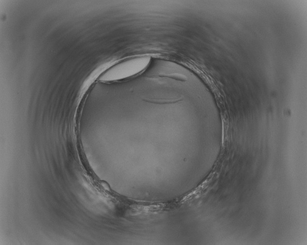 X0000080760147200701021105