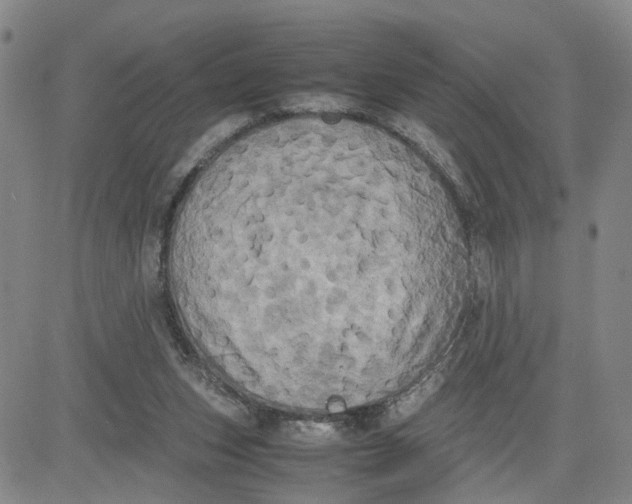 X0000080760159200701021105