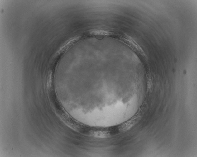 X0000080760163200701021105