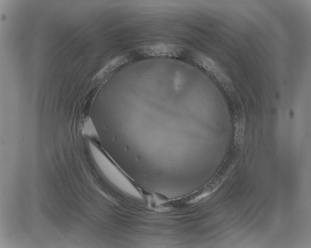 X0000080760165200701021105