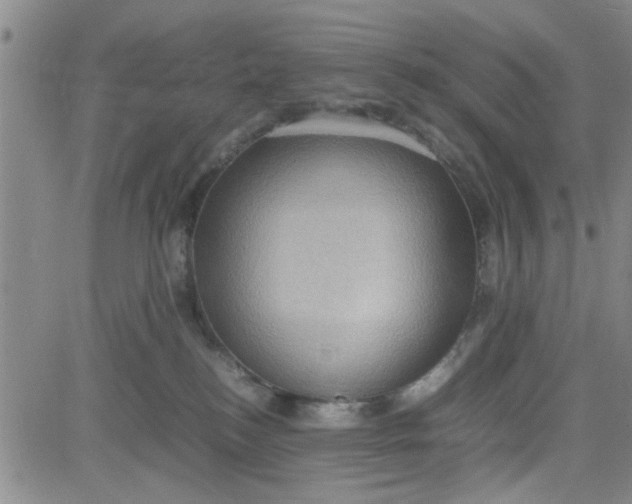 X0000080760184200701021105