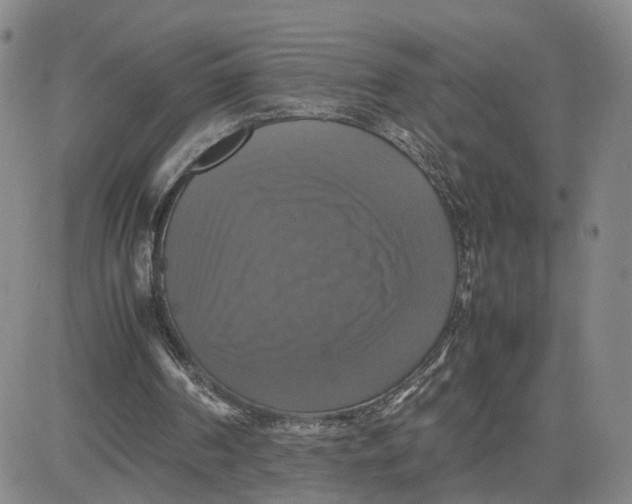 X0000080760194200701021105