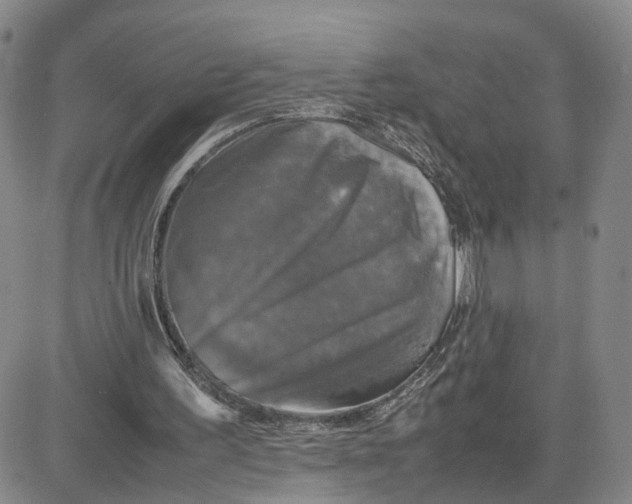 X0000080760195200701021105