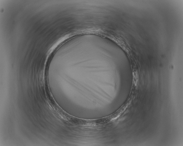 X0000080760196200701021104