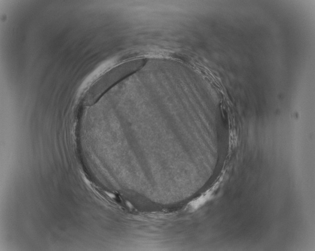 X0000080760197200701021104