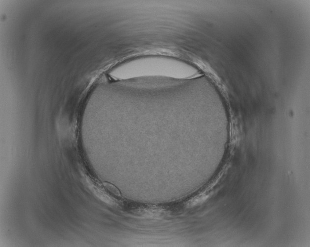 X0000080760201200701021104
