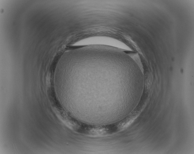 X0000080760213200701021104