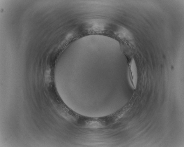 X0000080760224200701021104