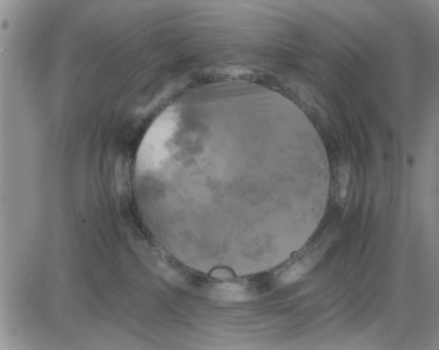 X0000080760236200701021104