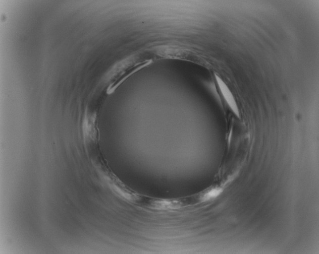 X0000080760239200701021104