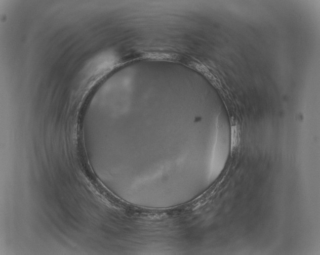 X0000080760243200701021103