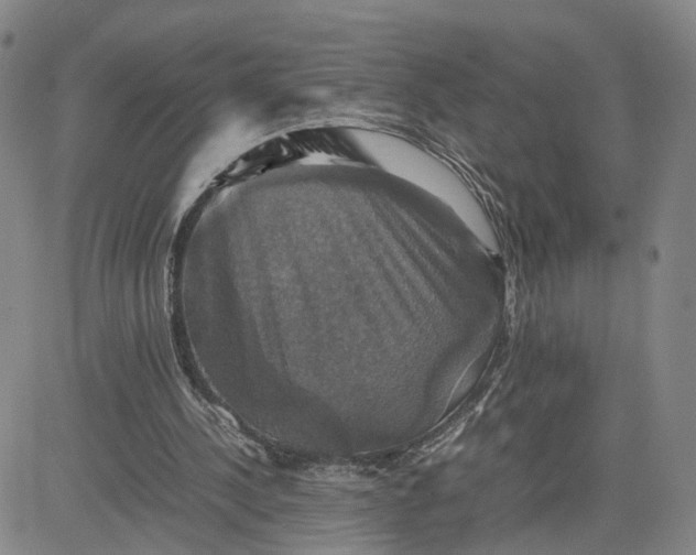 X0000080760244200701021103