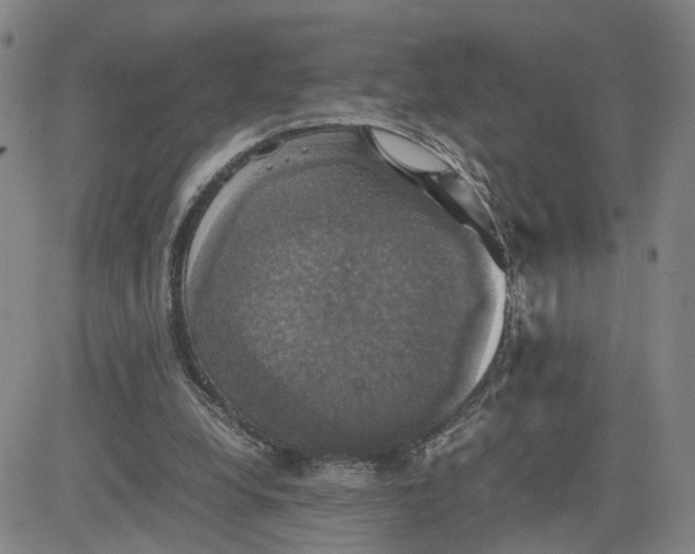 X0000080760248200701021103
