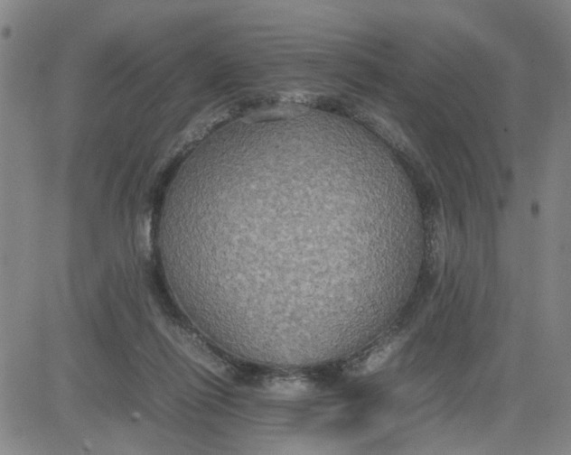 X0000080760262200701021103