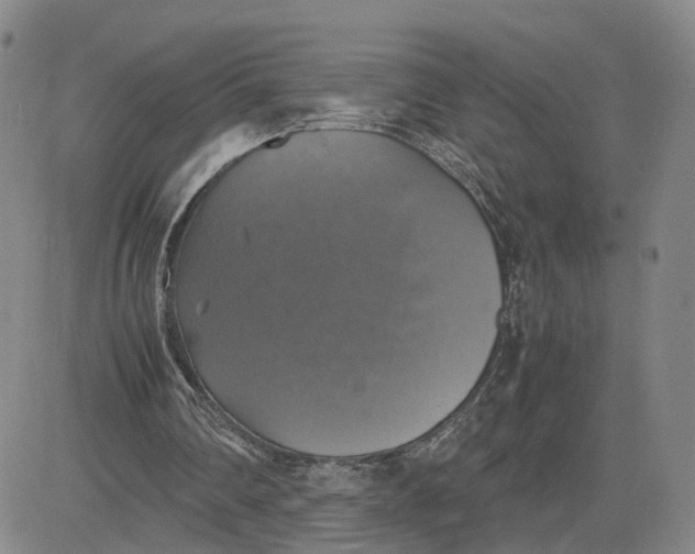 X0000080760290200701021103