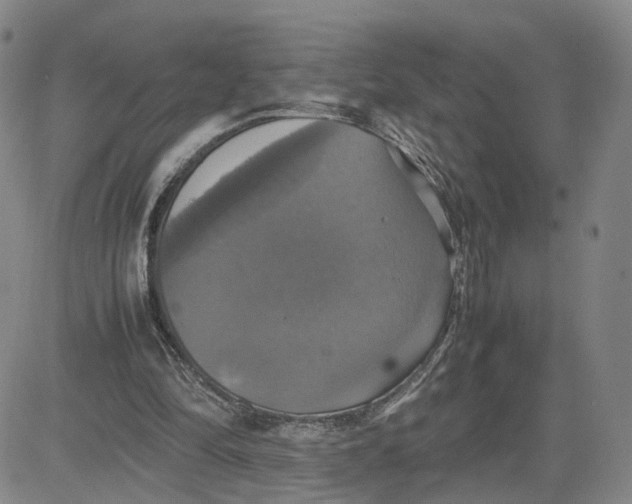 X0000080760294200701021103