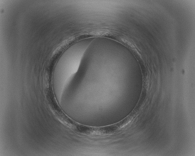 X0000080760303200701021103