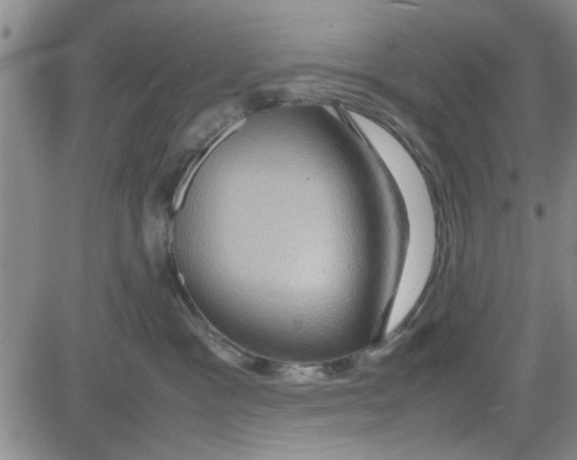 X0000080760333200701021102