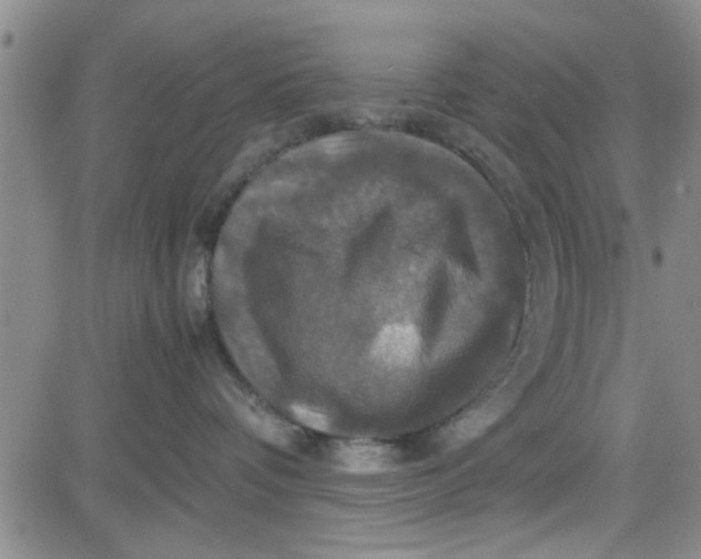 X0000080760336200701021102