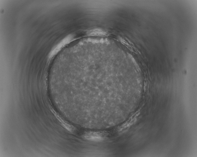 X0000080760341200701021101